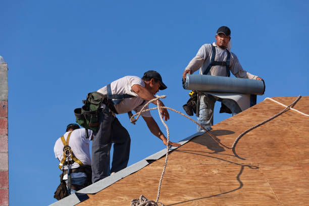 Best Storm Damage Roof Repair  in West Point, MS