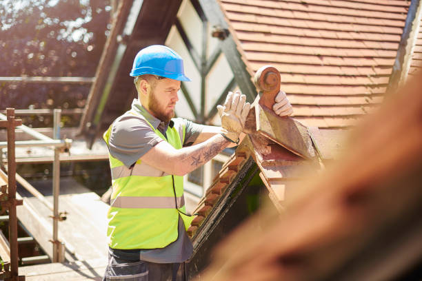 Best Roof Maintenance Services  in West Point, MS